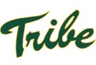 DT Image